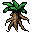 mandrake