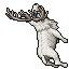 White Deer
